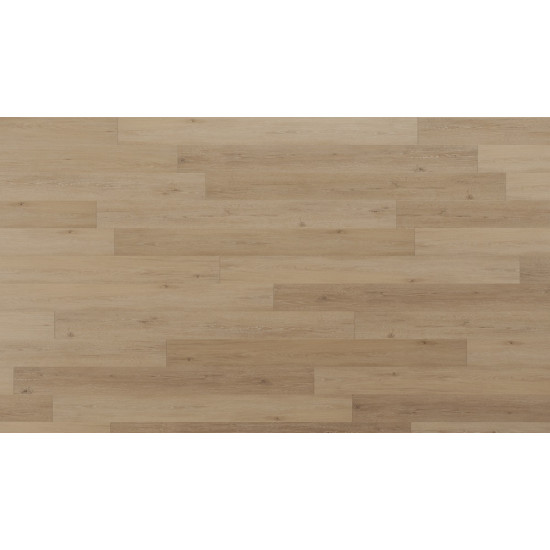 Regency Oak - Polished Platinum Regency Oak - Polished Platinum