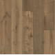 Sanctuary - Driftwood Sanctuary - Driftwood