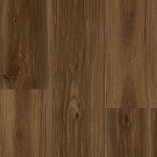 ProGen Harmony Elm, Cocoa 