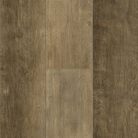 Traditions - 3003 Heritage Birch Traditions - 3003 Heritage Birch