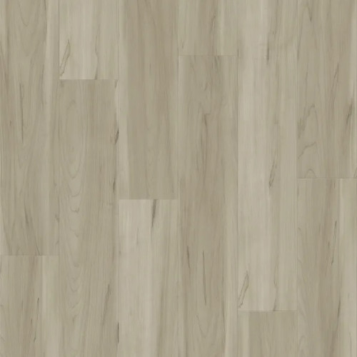 PANORAMIC-SUGAR MAPLE