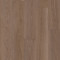 PANORAMIC-TAWNY OAK