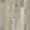RIGID PLUS-6012P WITHERED