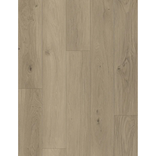 WOODWIND PRESSED-8504 CADENCE OAK WOODWIND PRESSED-8504 CADENCE OAK